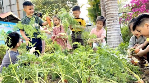 Ảnh hoạt động: HOẠT ĐỘNG NGOÀI TRỜI - SÂN CHƠI BỔ ÍCH CHO TRẺ MẦM NON