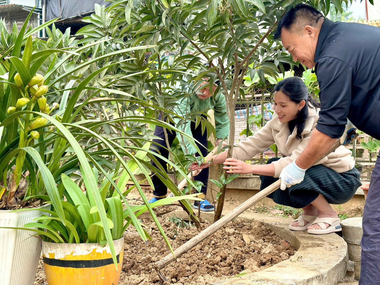 Ảnh trong bài: TRƯỜNG MẦM NON NOONG BUA HƯỞNG ỨNG “TẾT TRỒNG CÂY” XUÂN ẤT TỴ 2025