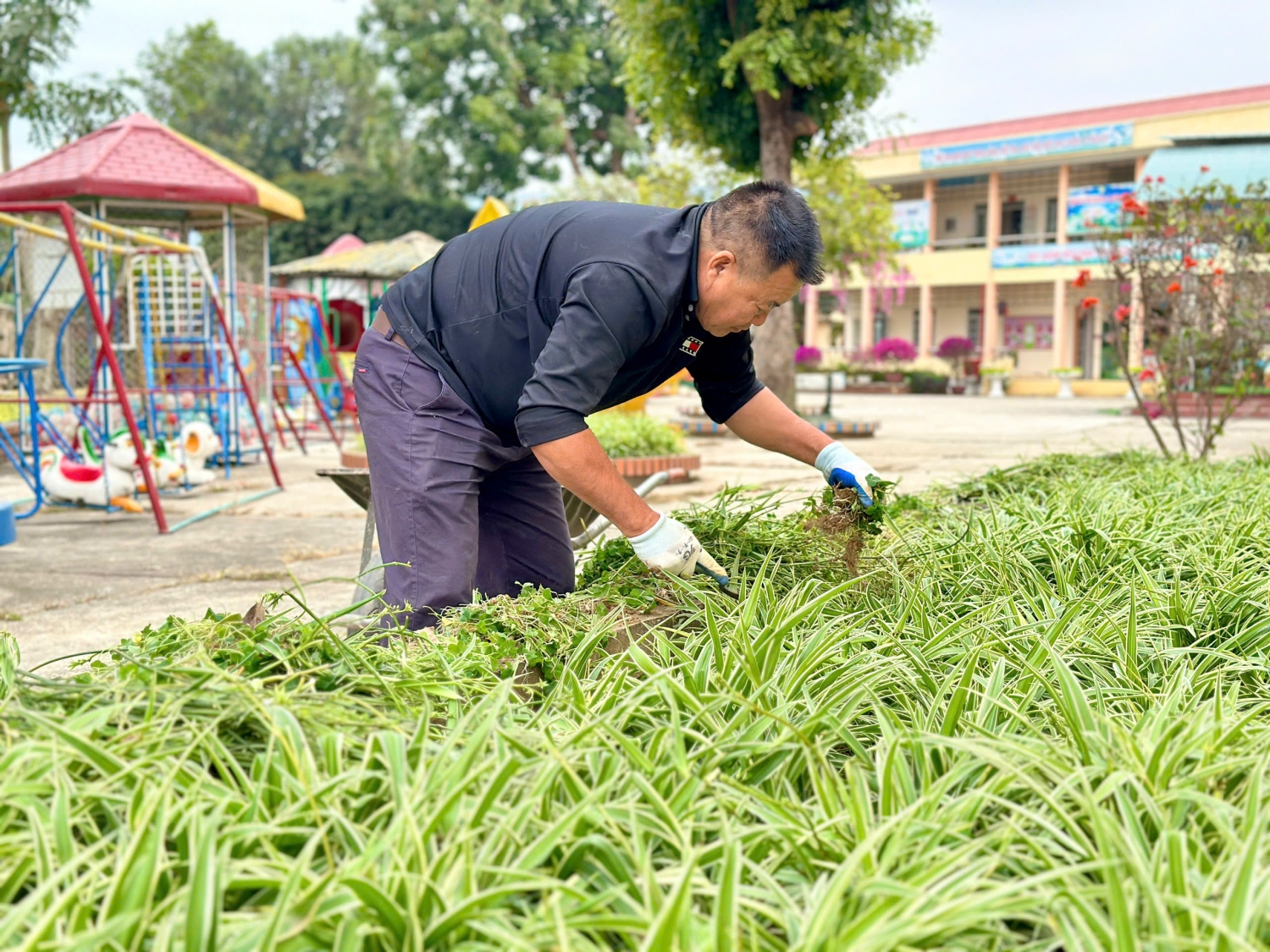 Ảnh trong bài: TRƯỜNG MẦM NON NOONG BUA HƯỞNG ỨNG “TẾT TRỒNG CÂY” XUÂN ẤT TỴ 2025
