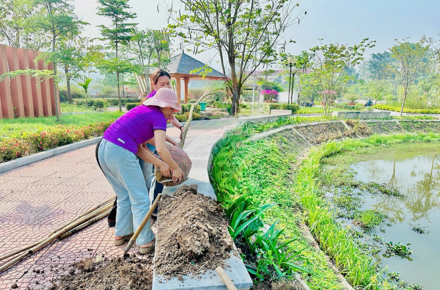 Ảnh trong bài: ĐOÀN VIÊN CÔNG ĐOÀN TRƯỜNG MẦM NON NOONG BUA THAM GIA BẢO VỆ, PHÁT TRIỂN CÂY HOA BAN TRÊN ĐỊA BÀN THÀNH PHỐ
